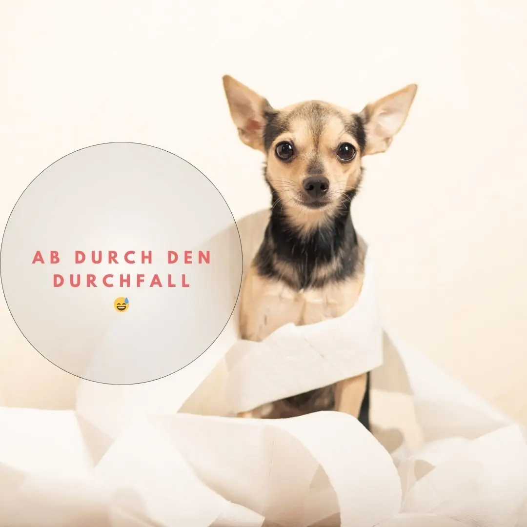 Ab durch den Durchfall