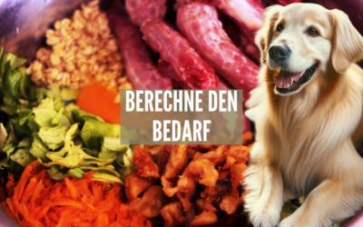 Neuer Bedarfsrechner für Hunde: Berechne den Nährstoffbedarf deines Vierbeiners!