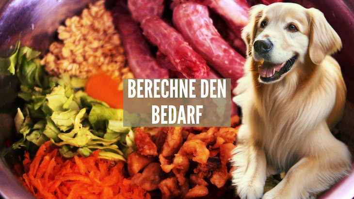 Neuer Bedarfsrechner für Hunde: Berechne den Nährstoffbedarf deines Vierbeiners!