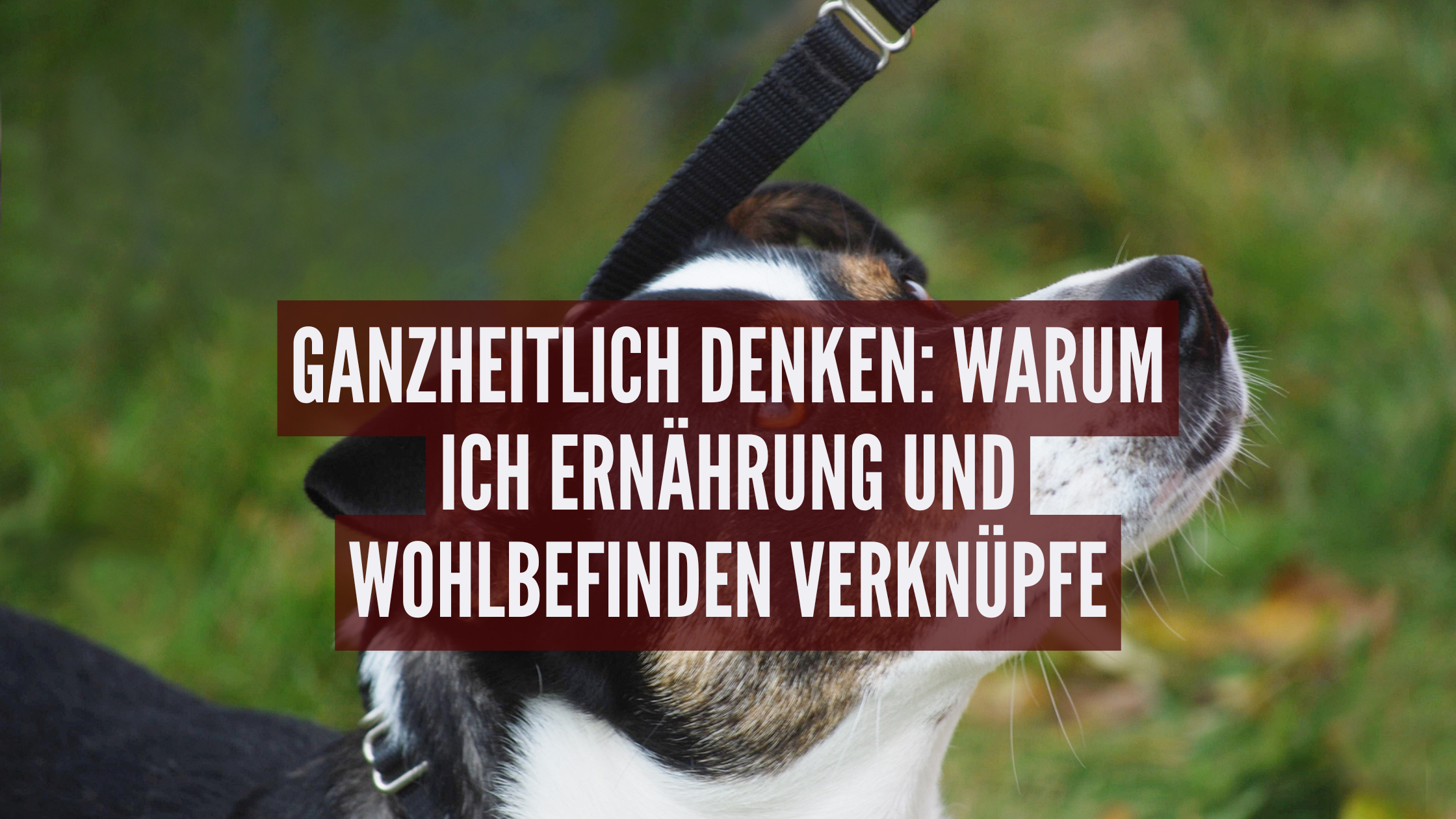 Ganzheitlich denken