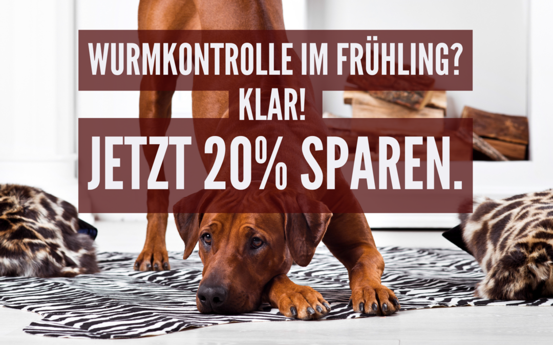 🐾 Wurmkontrolle im Frühling, jetzt testen mit dem Wurmtest von vetevo