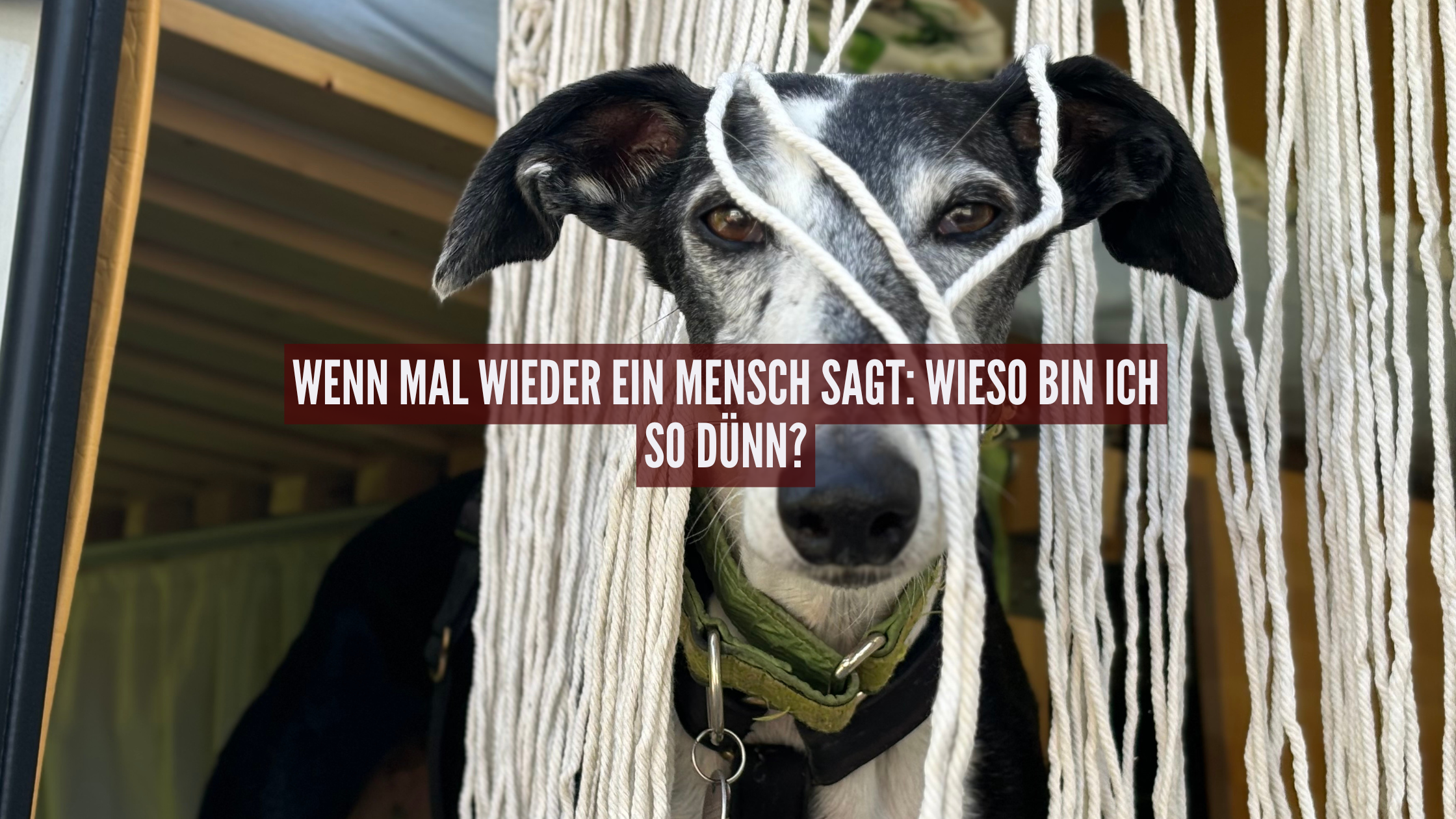 Bin ich zu dünn
